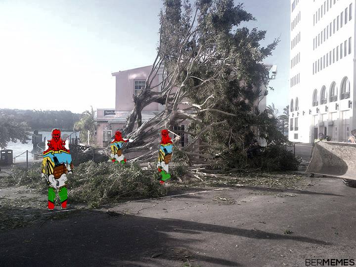 bermunity 2