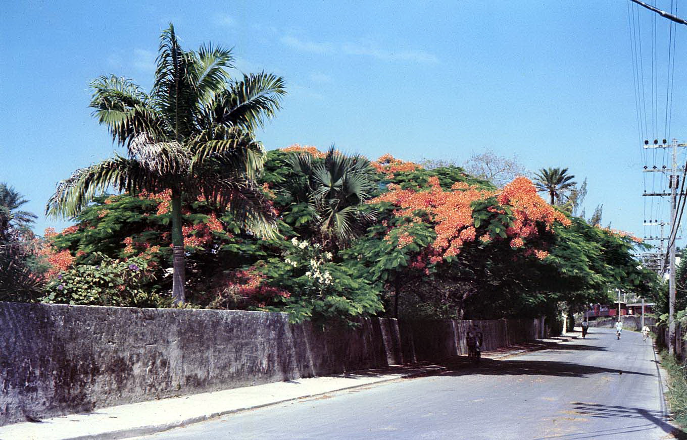 East Broadway