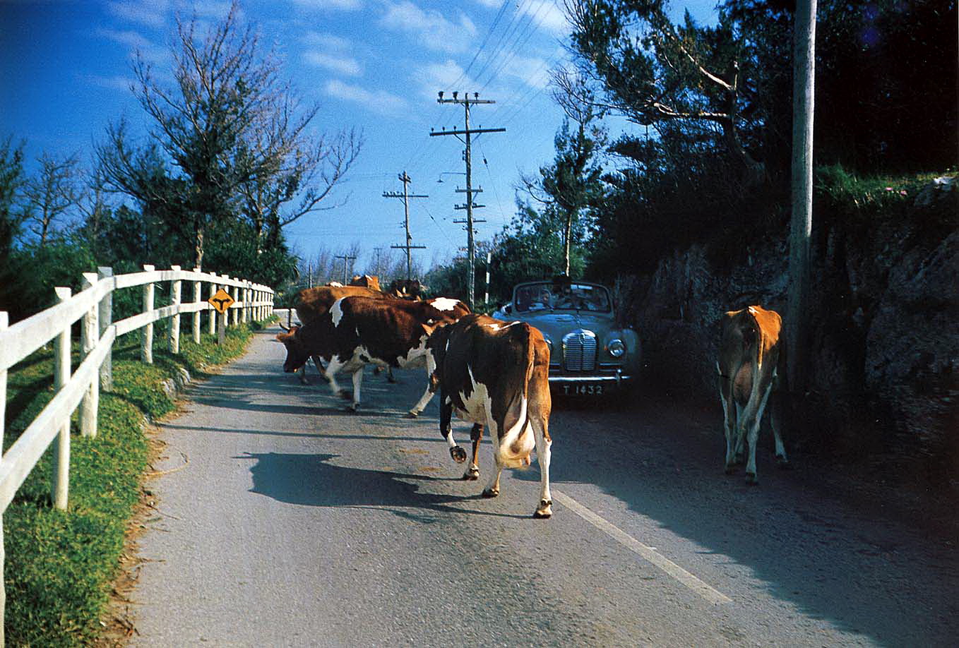 Middle Road Near Store Hill
