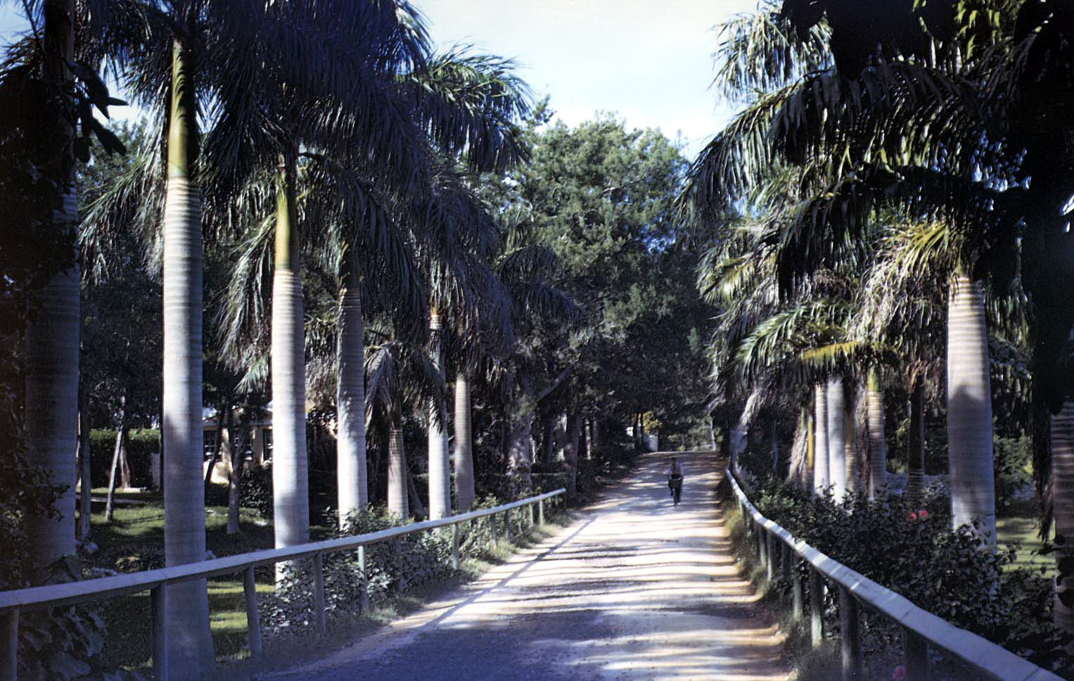 Wilkinson Avenue