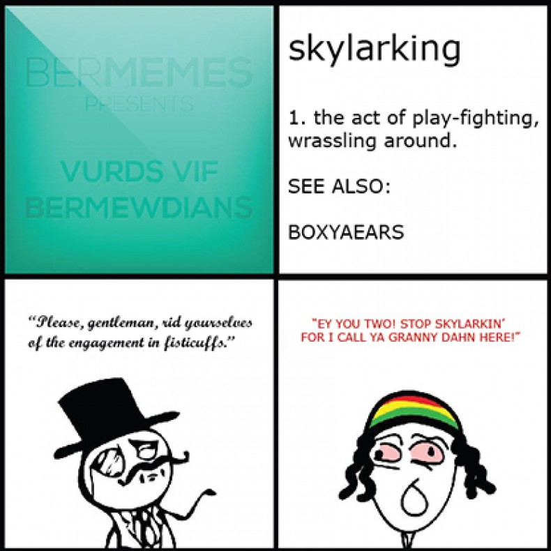Bermy Vurds: Skylarking