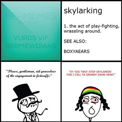 Bermy Vurds: Skylarking