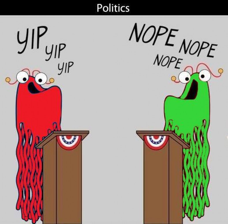 Bermuda Politics