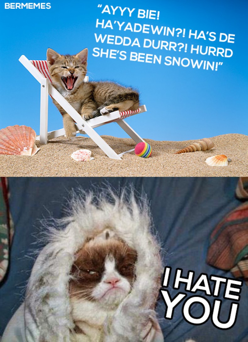 Bermy Winter Conversations 