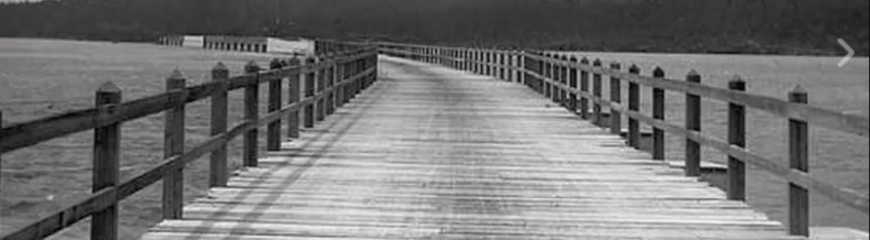 Bermuda Shorts: The Bermuda Causeway 
