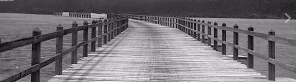 Bermuda Shorts: The Bermuda Causeway 