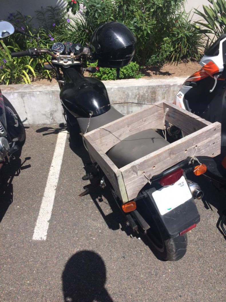 DIY Berrmudian Bike Basket
