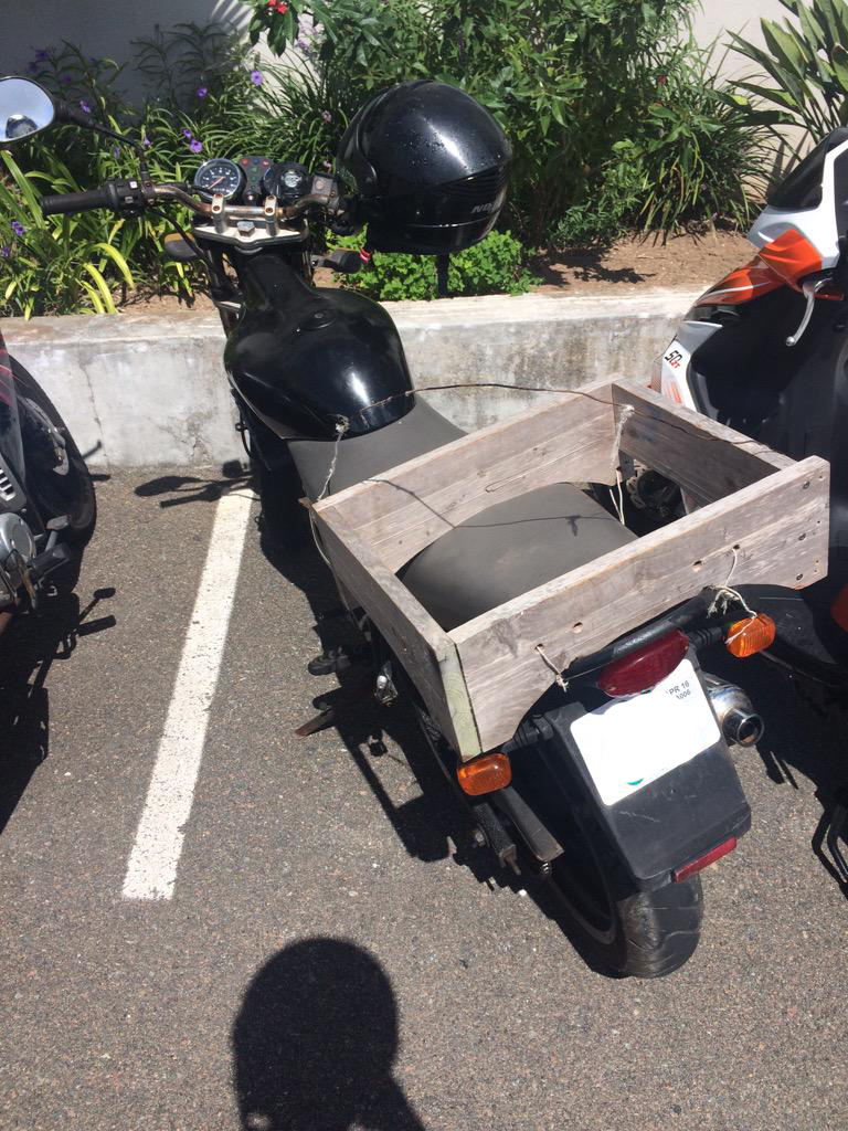 DIY Berrmudian Bike Basket
