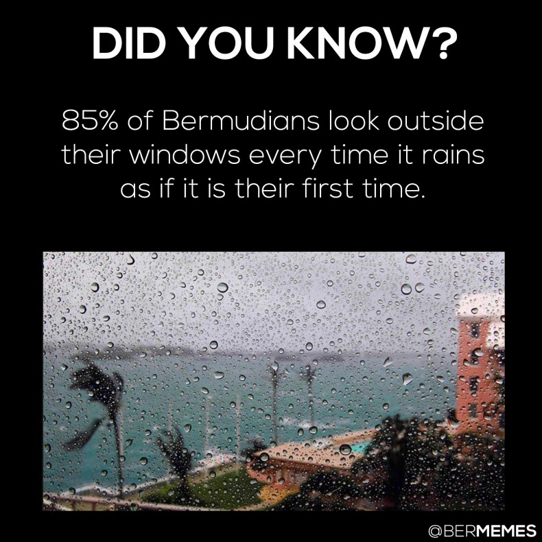 DYK rain
