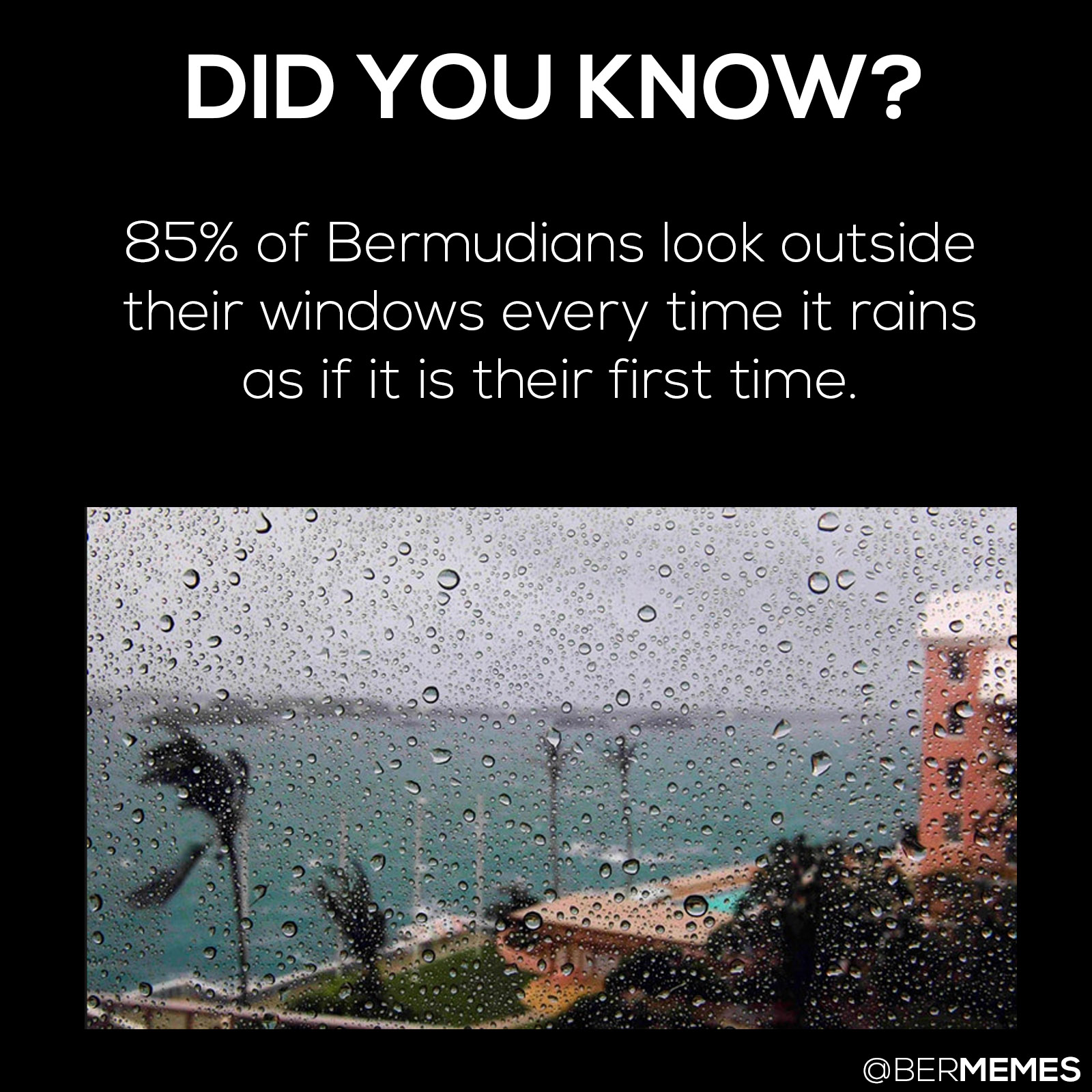 DYK rain
