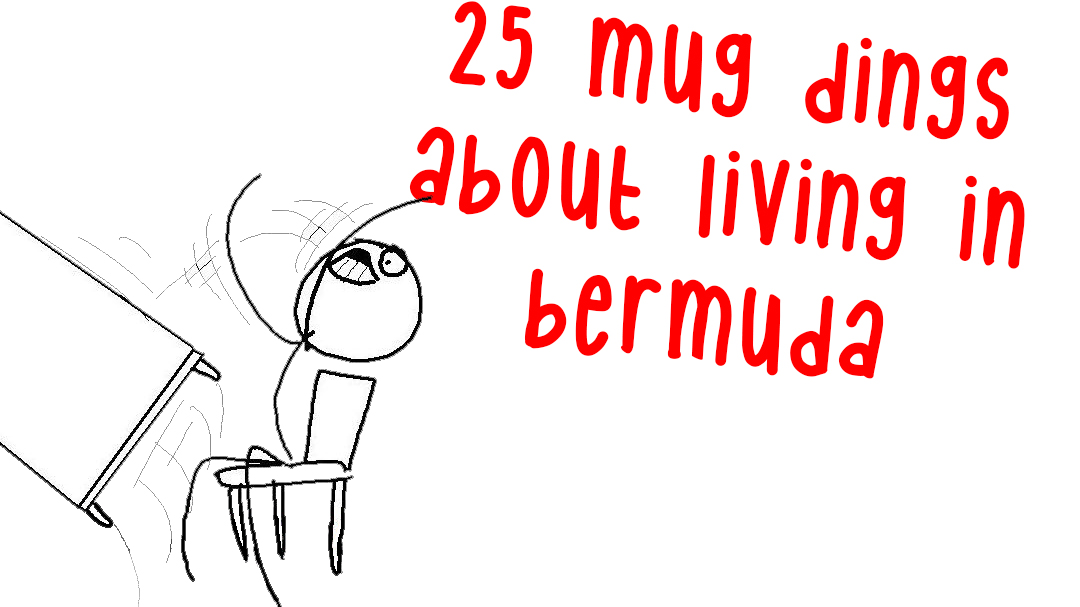 25 Mug Dings About Living in Bermuda 
