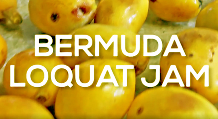 Bermuda Loquat Jam Recipe (video)
