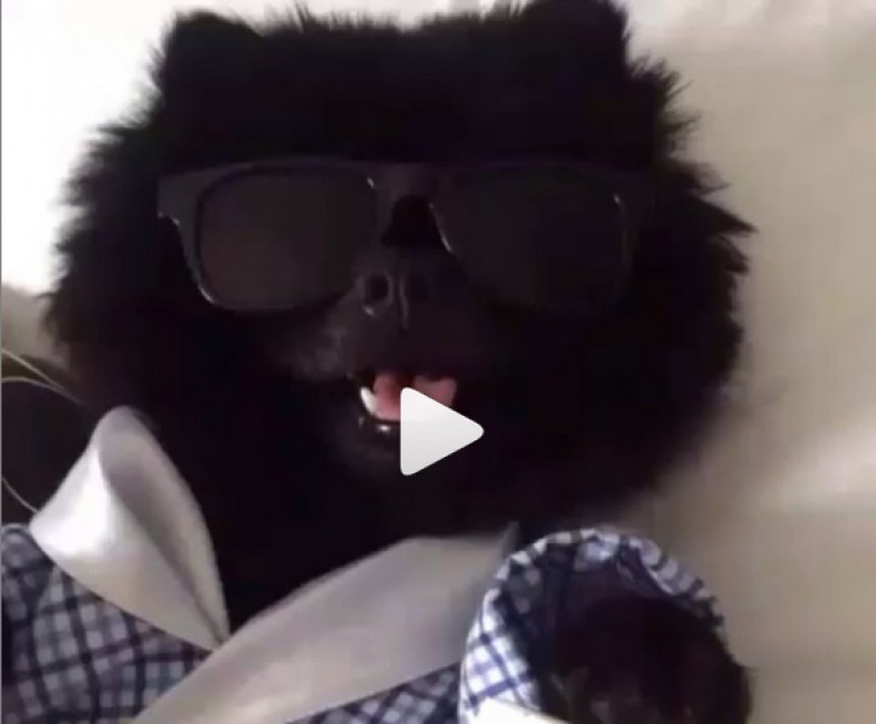 De Mawnin Afta Cupmatch [VIDEO] 