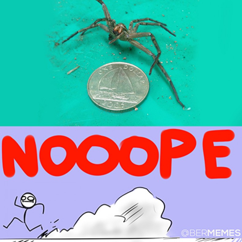 NOOOPE