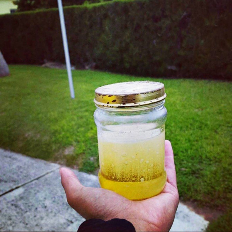 Bermuda Shark Oil [VIDEO]