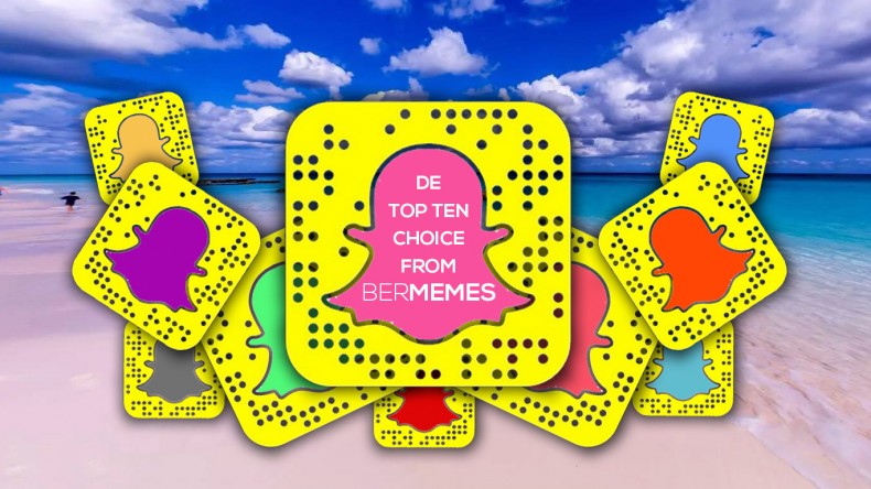 BERMEMES Top Ten Fave Snappers