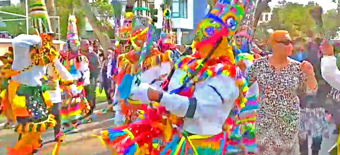 Keep On Dancing Termite! (Video)