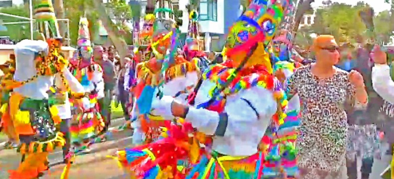 Keep On Dancing Termite! (Video)